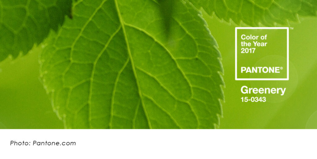 A green leaf features white text that reads, "Color of the Year 2017 Pantone. Greenery 15-0343"