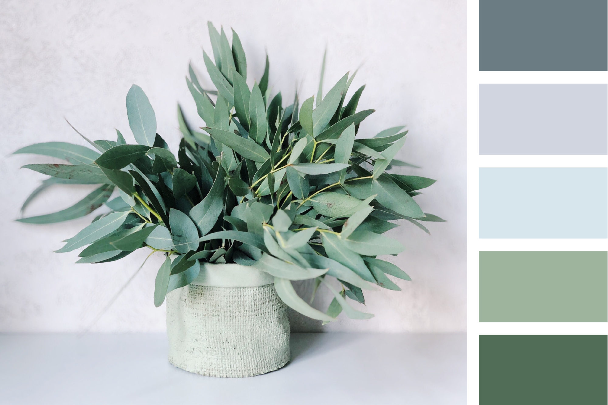 A green, gray, and blue palette inspired by eucalyptus and mint