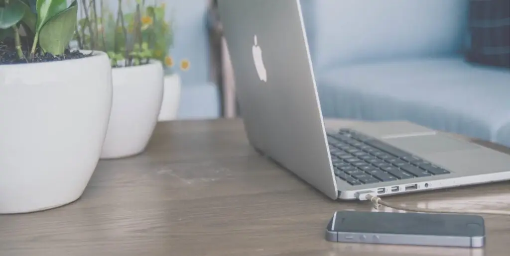 A laptop sitting on a wood desk with two plants and a phone placed next to it.
