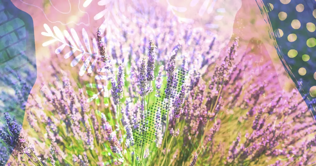 Lavender Life Cast Study in red over top of an image of a lavender field with purple illustrations