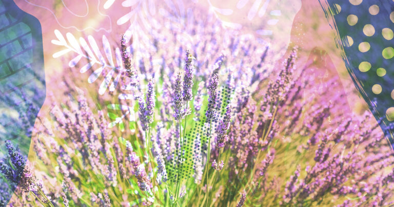 Lavender Life Cast Study in red over top of an image of a lavender field with purple illustrations