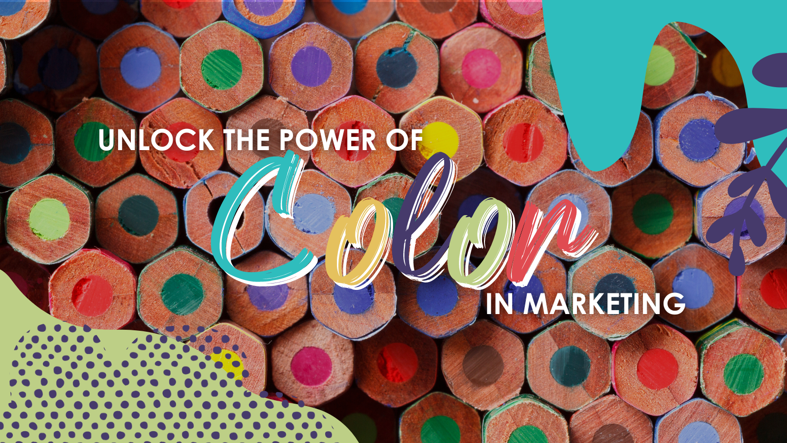 Unlock the Power of Color in Marketing - 8ThirtyFour