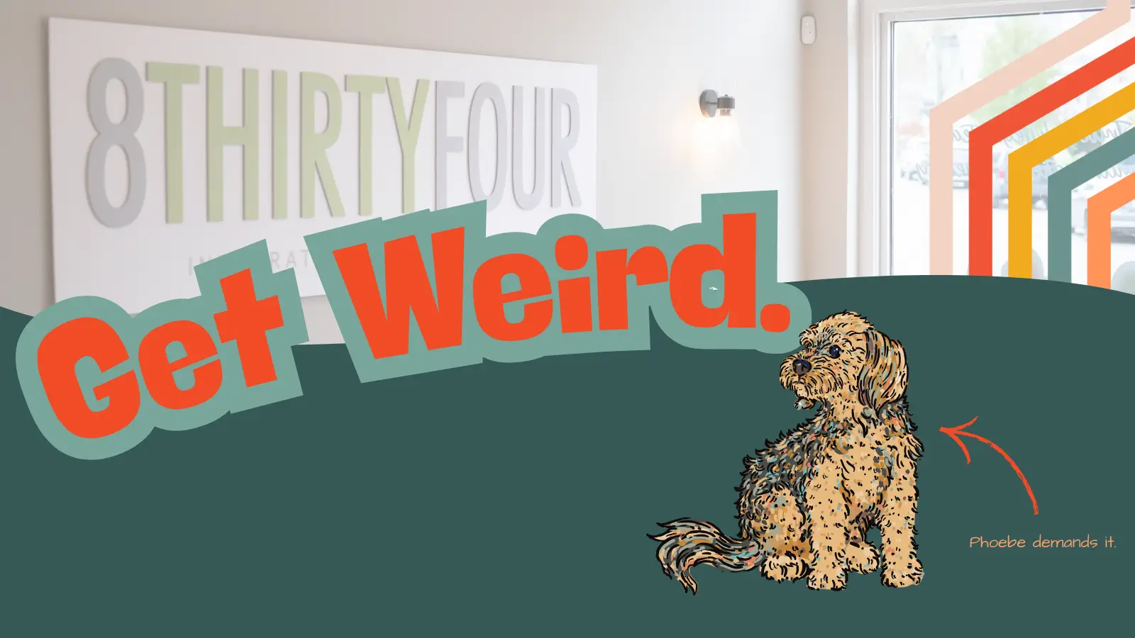 The words get weird along with a dog image and 8thirtyfour logo